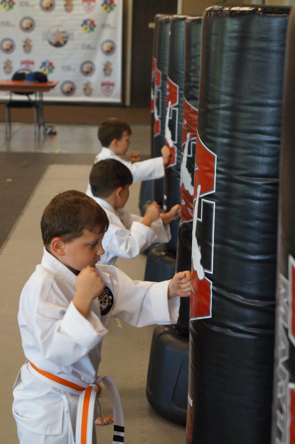 Prestige Martial Arts | 34334 Forrest Terrace #2, Abbotsford, BC V2S 1G7, Canada | Phone: (604) 300-7904