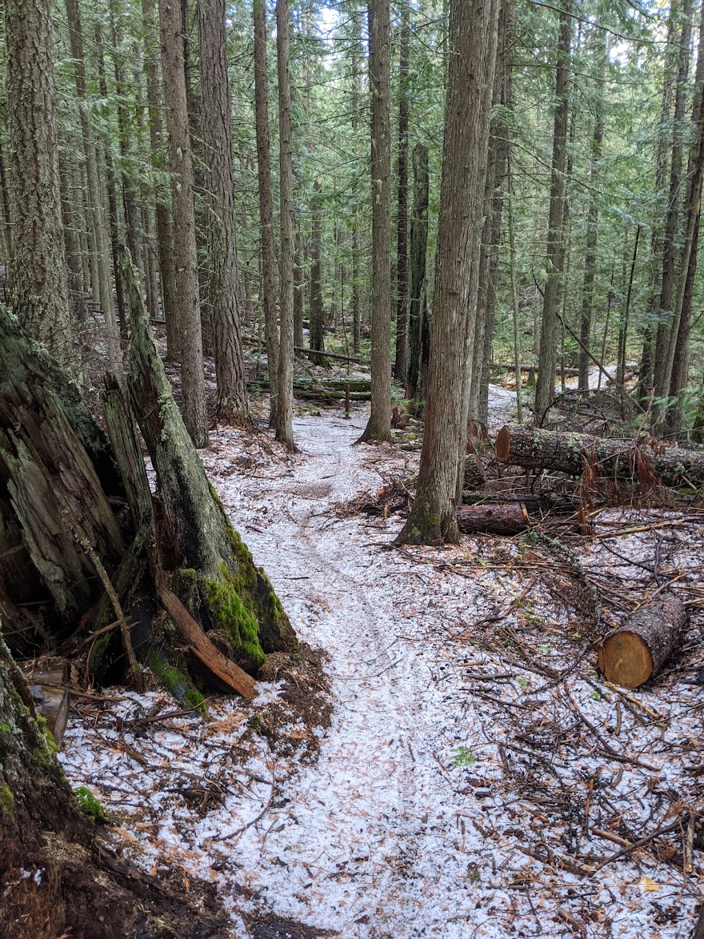 Mount Fernie Provincial Park | Fernie, BC V0B 1M0, Canada | Phone: (800) 689-9025