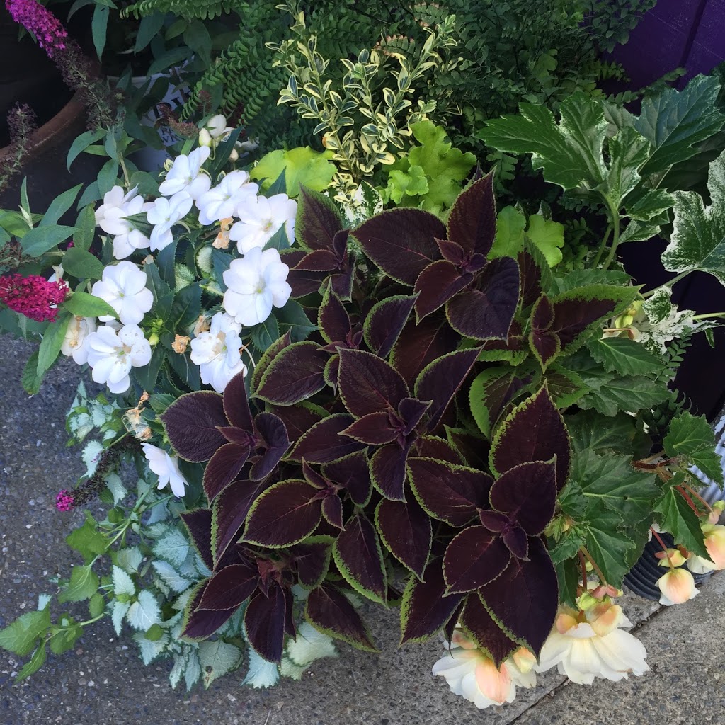 Clean Cut Landscape & Design | 2166 Shortcake Ln #102, Lynden, WA 98264, USA | Phone: (360) 410-8188