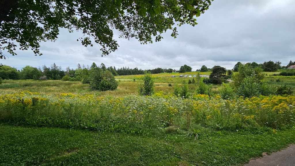Cavendish Grove, Prince Edward Island National Park | 8780 PE-6, Cavendish, PE C0A 1M0, Canada | Phone: (902) 672-6350