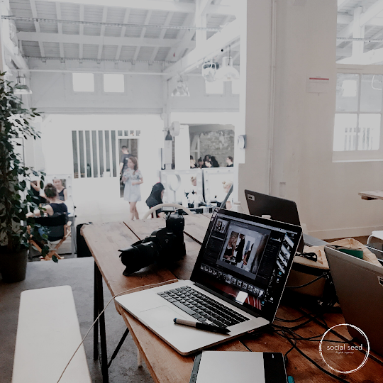 Social Seed Agency | 40 Great Gulf Dr Unit #33, Concord, ON L4K 5W1, Canada | Phone: (437) 291-9757