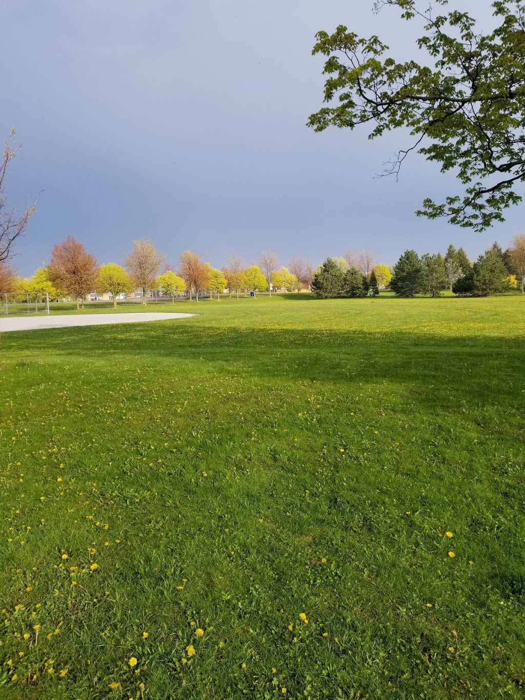 Goldhawk Park | 250 Goldhawk Trail, Scarborough, ON M1V 3W8, Canada | Phone: (416) 396-8964