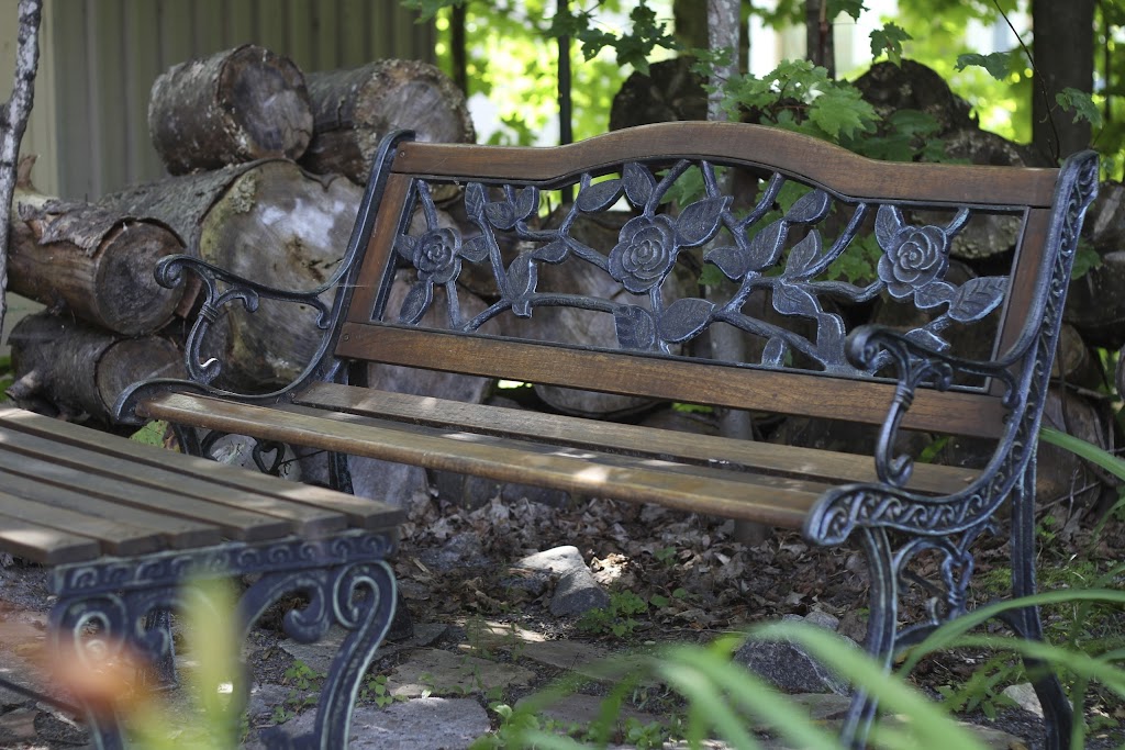 Auberge Le Lupin B&B | 127 Rue Pinoteau, Mont-Tremblant, QC J8E 1G2, Canada | Phone: (819) 425-5474
