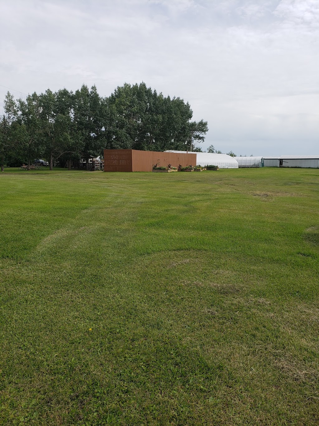 Maplewood Acres Greenhouse | 1 Avenue, Camrose County No. 22, AB T0B 0G0, Canada