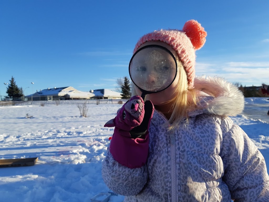 Child Development Dayhomes | 10639 131 St NW, Edmonton, AB T5N 1Y6, Canada | Phone: (780) 444-2288