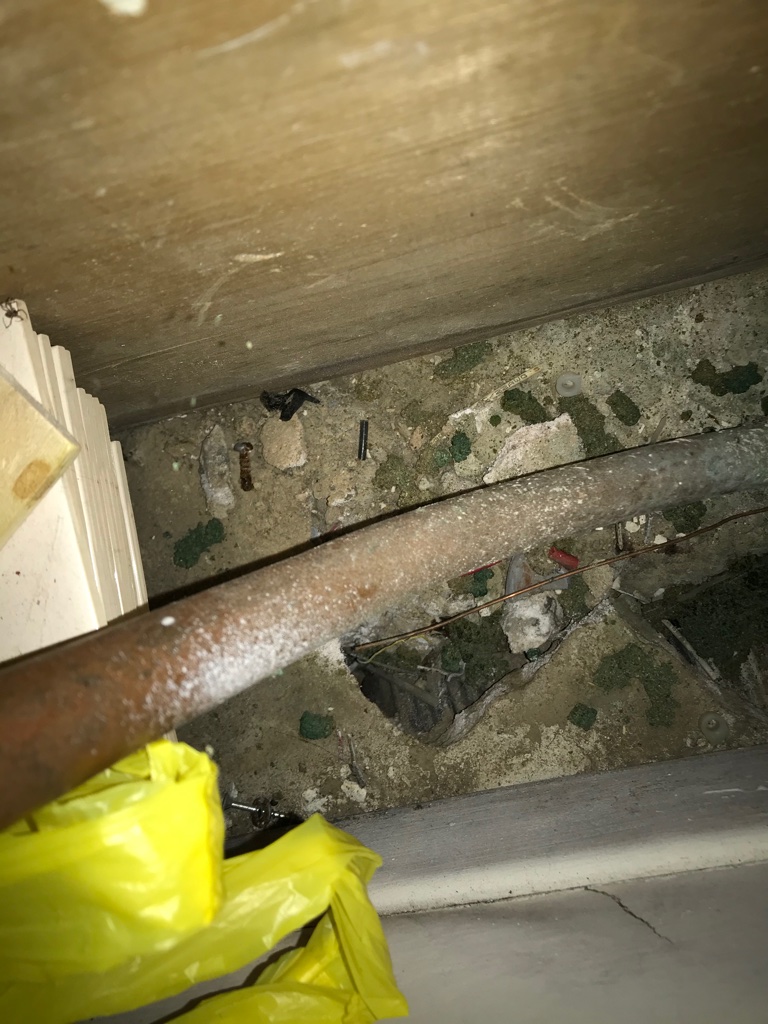 Provincial Pest Control (Brampton) | 6 Sculptor St, Brampton, ON L6P 3S1, Canada | Phone: (647) 360-2454