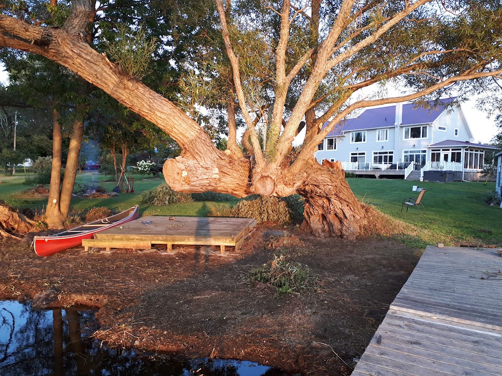 Lil Dipper Excavating Services | 2697 County Rd 13, Prince Edward, ON K0K 2T0, Canada | Phone: (613) 476-3433