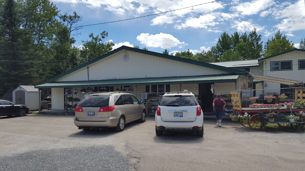Swift Canoe & Kayak - Muskoka | 2394 ON-11, Gravenhurst, ON P1P 1R1, Canada | Phone: (705) 687-3710