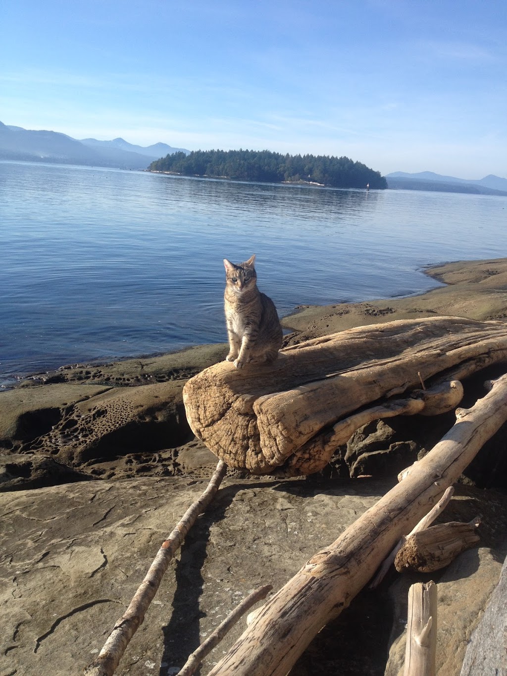Deb Wilson Sutton West Coast | 24 Bella Vista Rd, Thetis Island, BC V0R 2Y0, Canada | Phone: (250) 710-4000