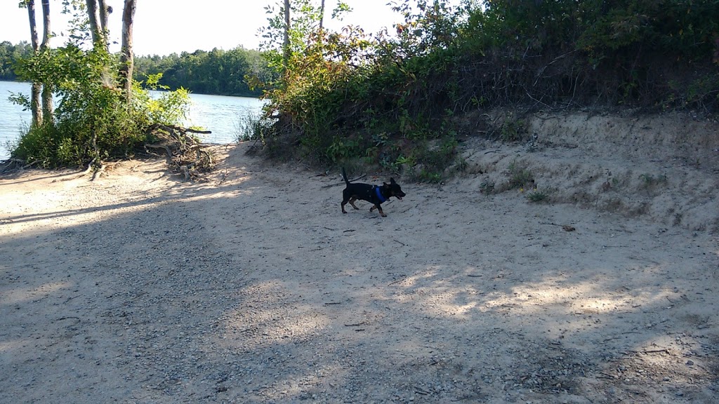 Parkhill Conservation Area | Parkhill, ON N0M 2K0, Canada | Phone: (519) 294-6121