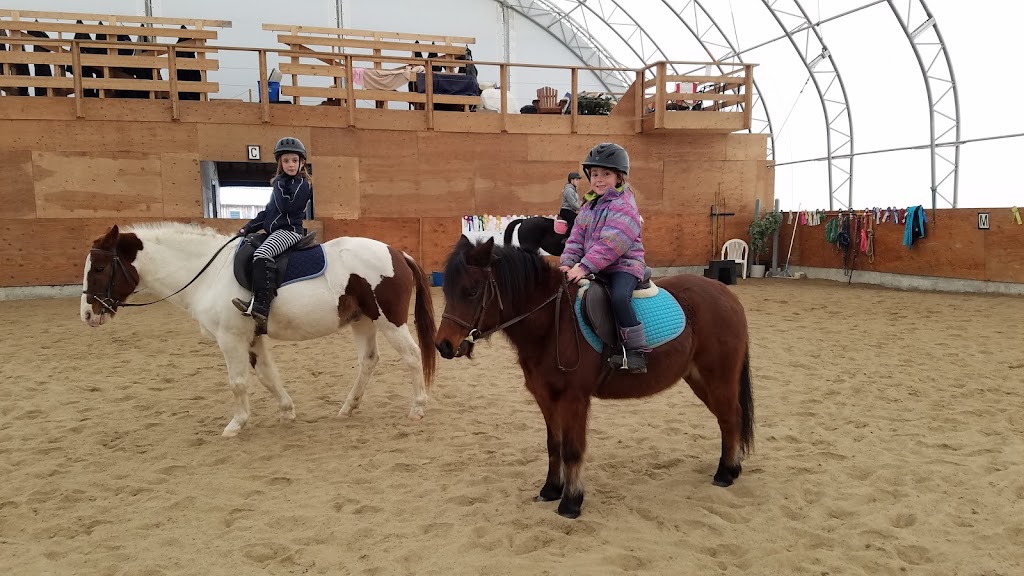 Benhaven Stable | 1954 9th Line, Carleton Place, ON K7C 3P2, Canada | Phone: (613) 250-2219