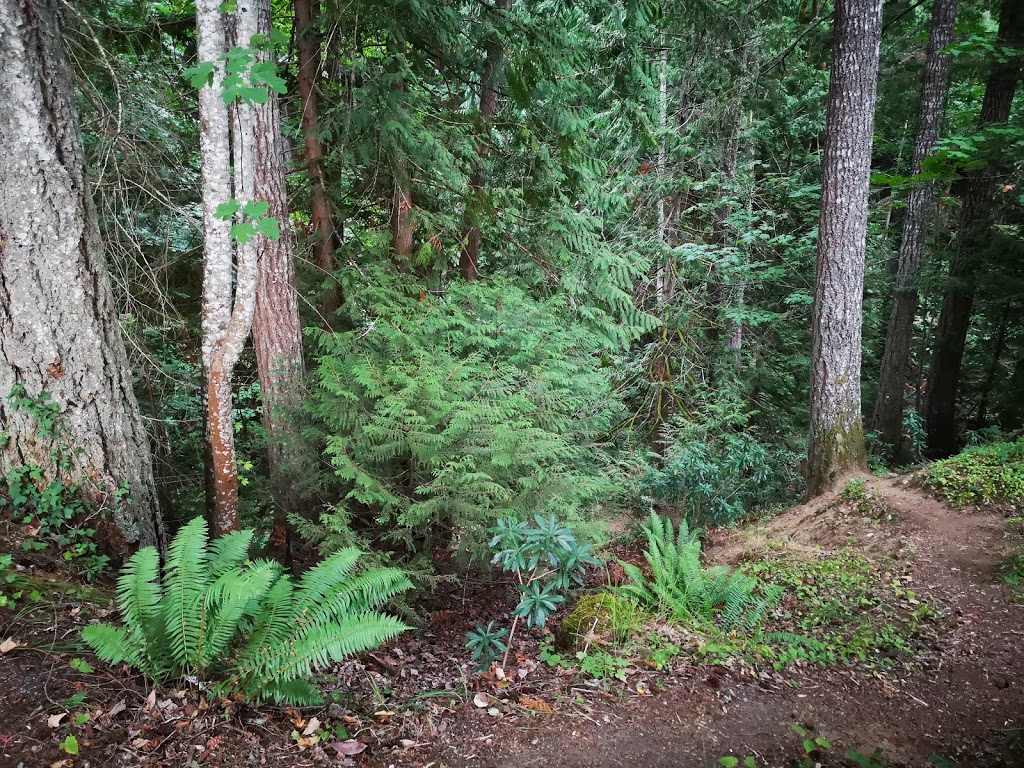 Westwood Lake R V Camping & Cabins | 380 Westwood Road, Nanaimo, BC V9R 6S5, Canada | Phone: (250) 753-3922