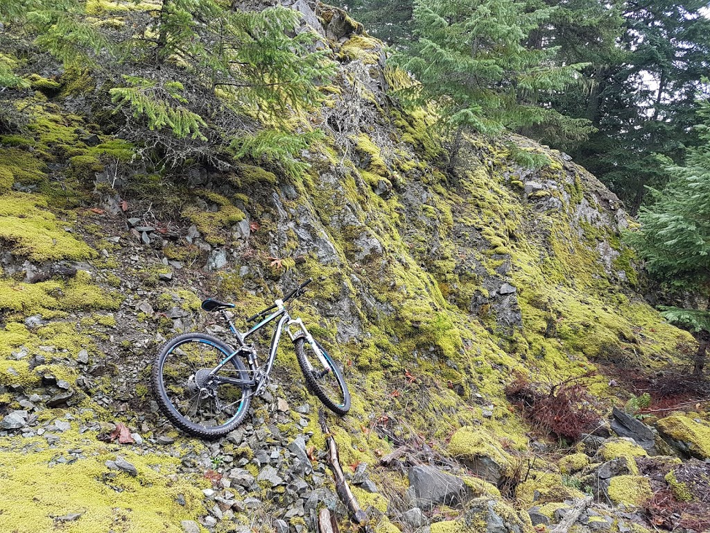 Maple Syrup Mountain Bike Trailhead | North Cowichan, BC V9L 5X6, Canada