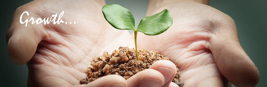 Equinox Therapeutic And Consulting Services | 3824 57 St NW, Edmonton, AB T6L 1W1, Canada | Phone: (780) 885-6454