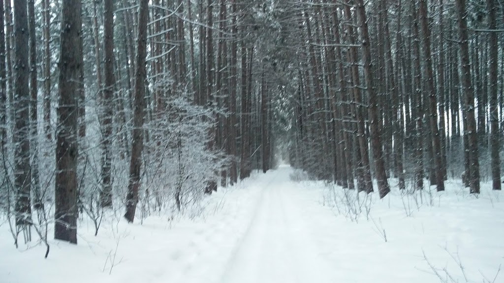 Lowe-Martin | 400 Hunt Club Rd, Ottawa, ON K1V 1C1, Canada | Phone: (613) 741-0962