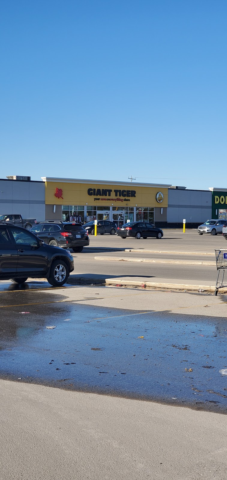 Giant Tiger | 880 10th St, Hanover, ON N4N 1S3, Canada | Phone: (519) 364-6138