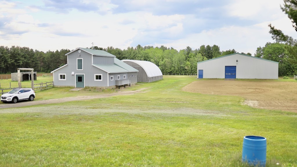 Élevage de Colleys Von St-Gall | 420 Rang St Félix O, Notre-Dame-du-Mont-Carmel, QC G0X 3J0, Canada | Phone: (514) 713-6285