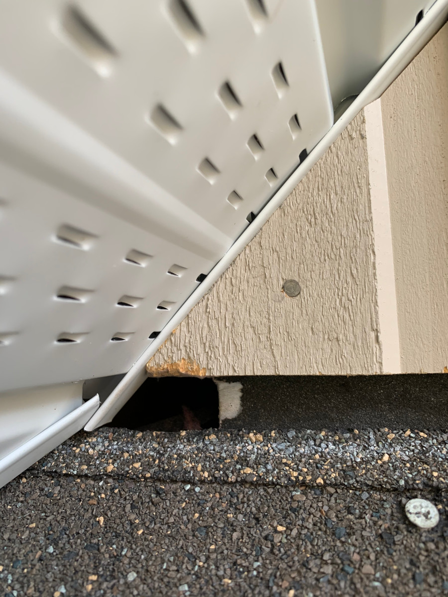 Simcoe Muskoka Wildlife Removal | 67 The Queensway, Barrie, ON L4M 7J3, Canada | Phone: (705) 794-7697