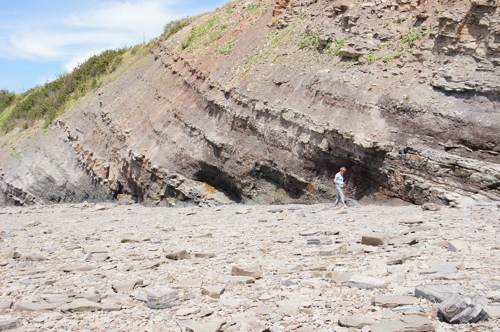 Joggins Fossil Cliffs | 100 Main St, Joggins, NS B0L 1A0, Canada | Phone: (902) 251-2727