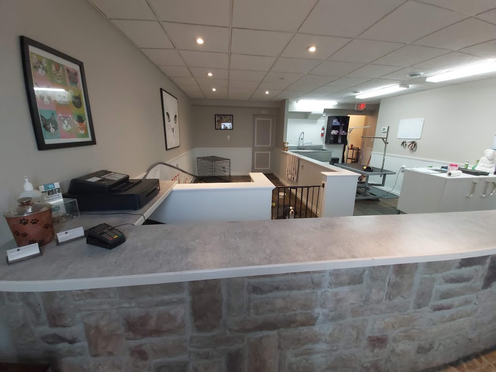 JDS GROOMING | 225 Upper Centennial Pkwy, Stoney Creek, ON L8J 3V3, Canada | Phone: (905) 928-7887