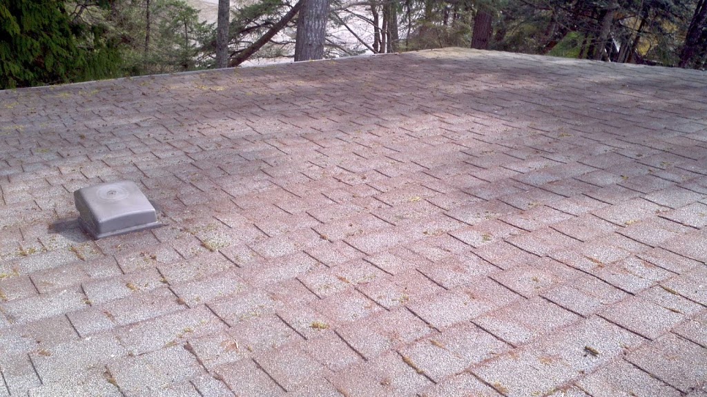 Ranger Industries Moss removal/ Roof Treatment | 923 Jenkins Ave, Victoria, BC V9B 2N8, Canada | Phone: (250) 661-2241