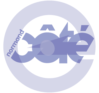 Normand Cote Entrepreneur Electricien Inc. | 134 Rue Olivier, Laurier-Station, QC G0S 1N0, Canada | Phone: (418) 728-2152
