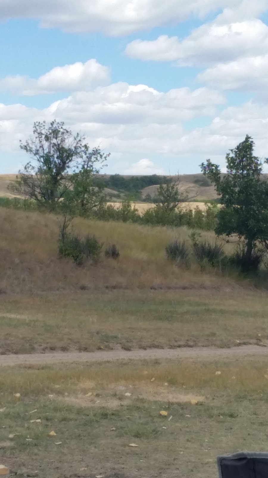 Buffalo Pound Provincial Park | 110 Ominica St W, Moose Jaw No. 161, SK S6H 6V2, Canada | Phone: (306) 694-3320