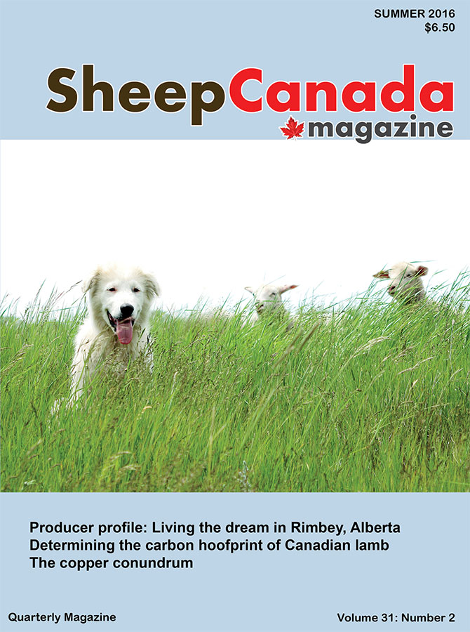 Sheep Canada Magazine | Box 1041, Ste Anne, MB R5H 1C1, Canada | Phone: (204) 371-2959
