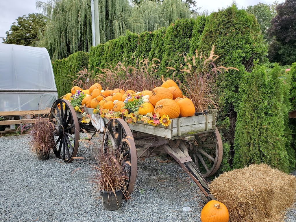 Willow View Farms | 288 McCallum Rd, Abbotsford, BC V2S 8A2, Canada | Phone: (604) 854-8710