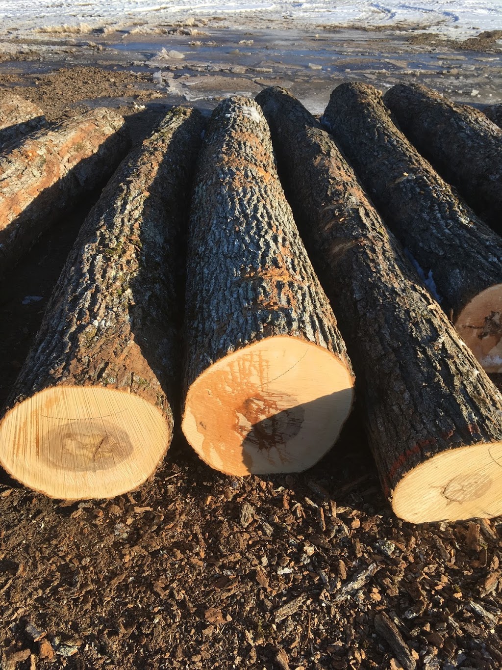 Hunter M W Lumber Ltd | 1010 Community Center Rd, Gooderham, ON K0M 1R0, Canada | Phone: (705) 447-2611