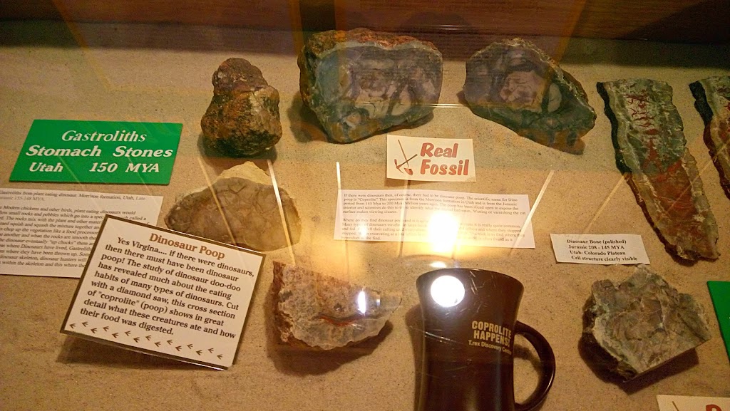 Jurassic Barts Dinosaur Museum and Petting Farm | 9739 Cavendish Rd, Breadalbane, PE C0A 1E0, Canada | Phone: (902) 886-2398