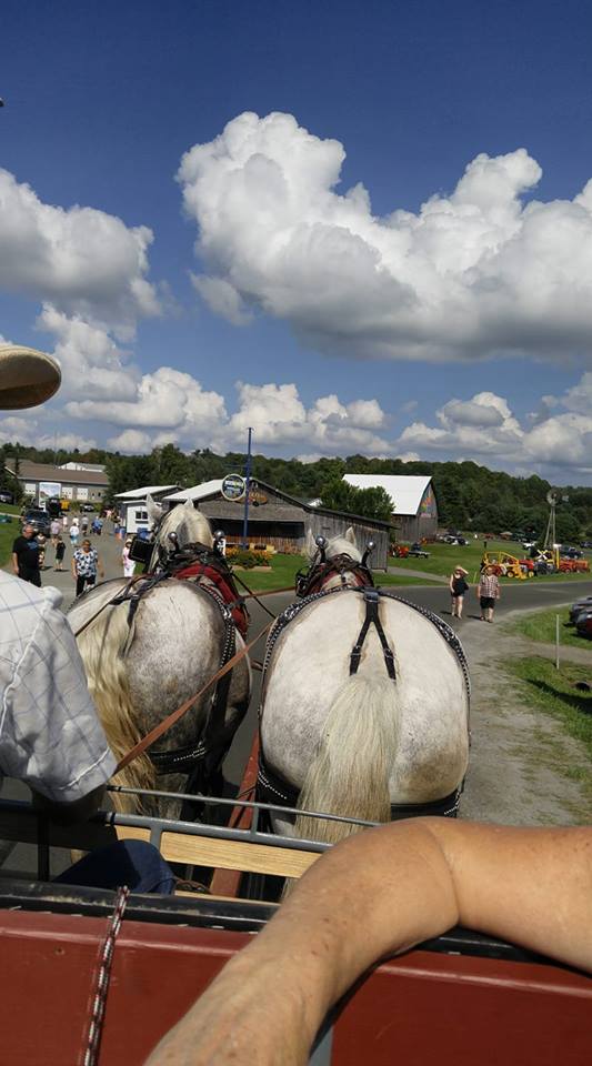 Twin Maples Farm | 1227 Base Line Rd, Severn Bridge, ON P0E 1N0, Canada | Phone: (705) 689-0182