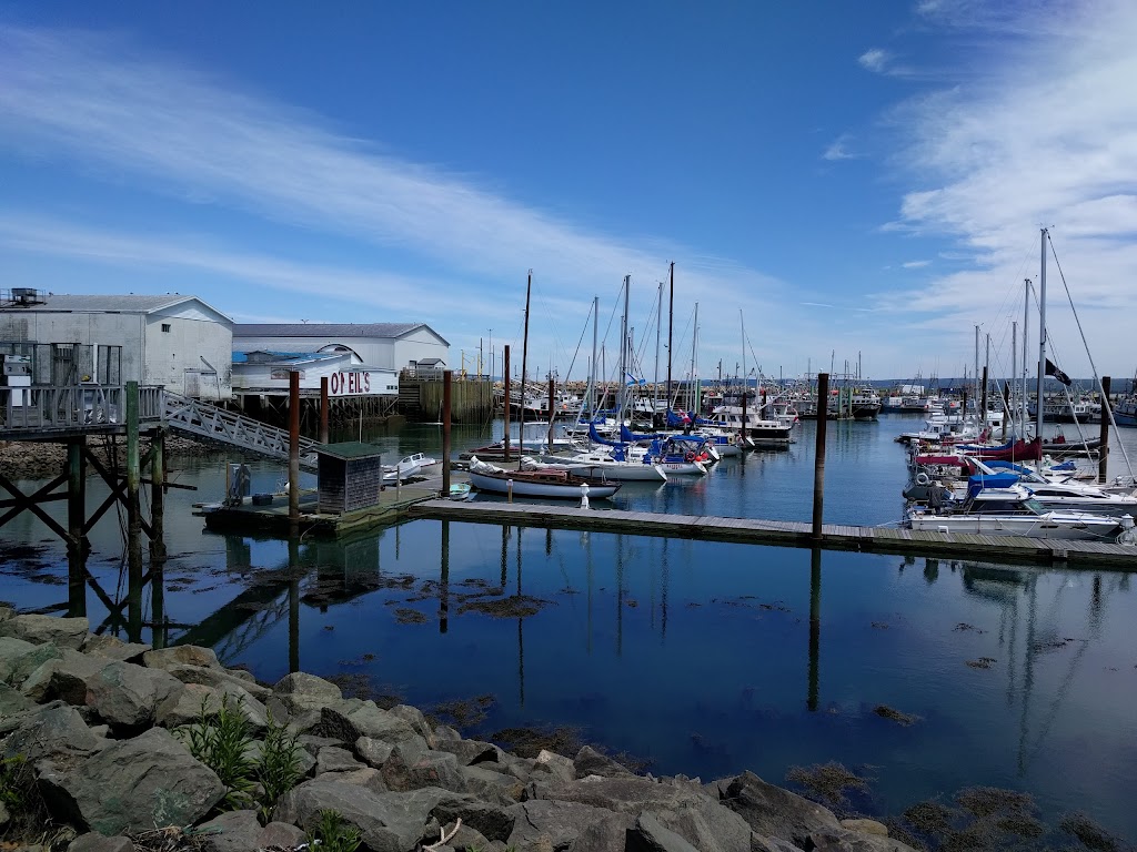 The Shoe Box Ltd | 85 Water St, Digby, NS B0V 1A0, Canada | Phone: (902) 245-5414