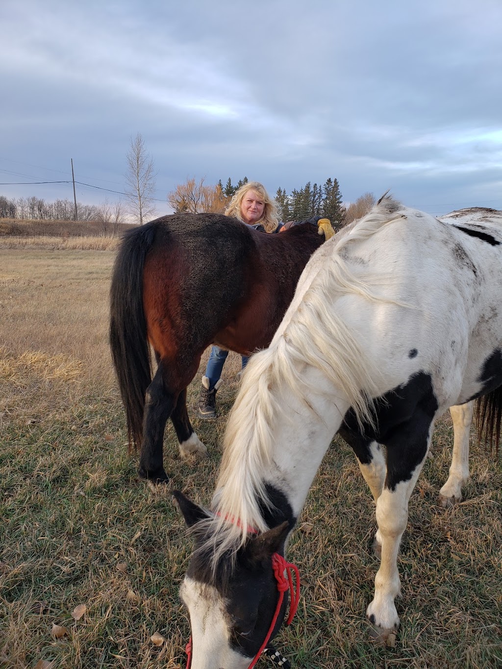 Poco Razz Farm | 130 Greenview Rd, Winnipeg, MB R2N 4C6, Canada | Phone: (204) 255-4717