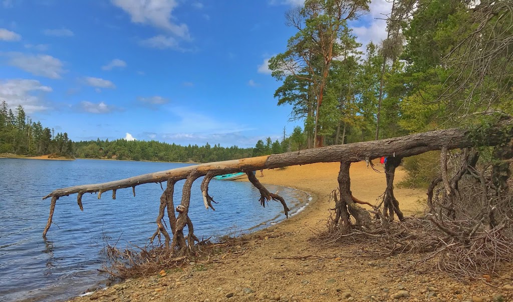 Spider Lake Provincial Park | Hwy 19, British Columbia V9K, Canada | Phone: (250) 474-1336