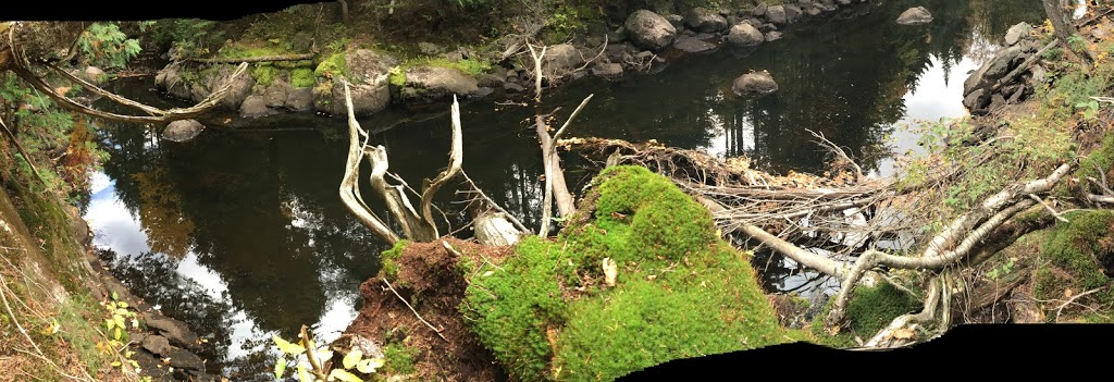 Les Berges du rocher | 2043-2399 Chemin du Lac-des-Trois-Frères, Saint-Adolphe-dHoward, QC J0T 2B0, Canada | Phone: (514) 926-4197