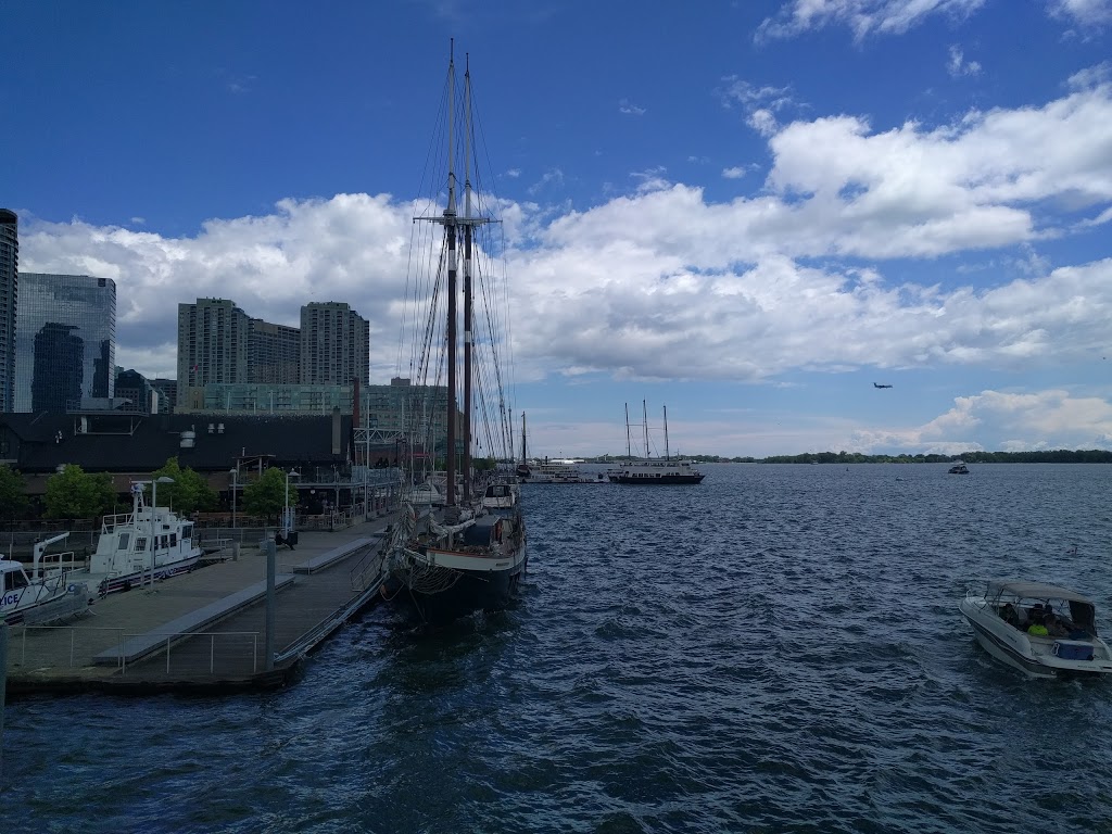 Yankee Lady Cruises | 249 Queens Quay W #110, Toronto, ON M5J 2N5, Canada | Phone: (416) 868-0000