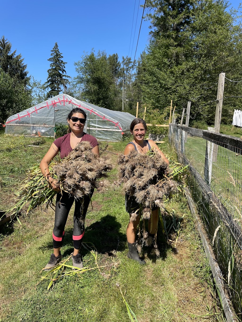 Barnyard Party Animals | 2065 Miracle Beach Dr, Black Creek, BC V9J 1K3, Canada | Phone: (250) 202-8087