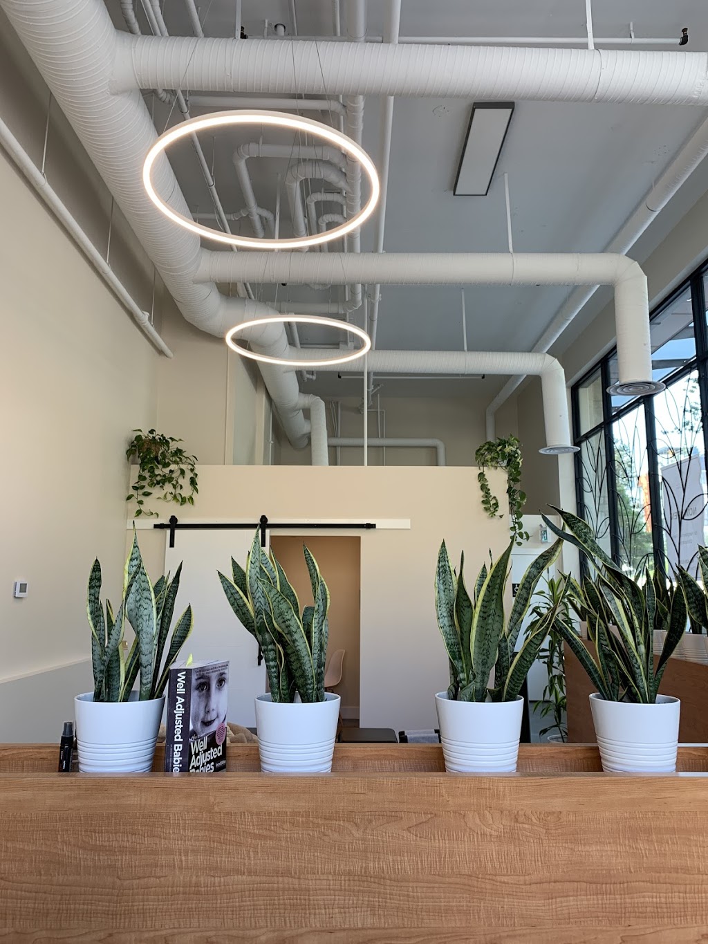 The Chiro Culture | 550 Victoria Dr, Vancouver, BC V5L 4E2, Canada | Phone: (604) 428-5156