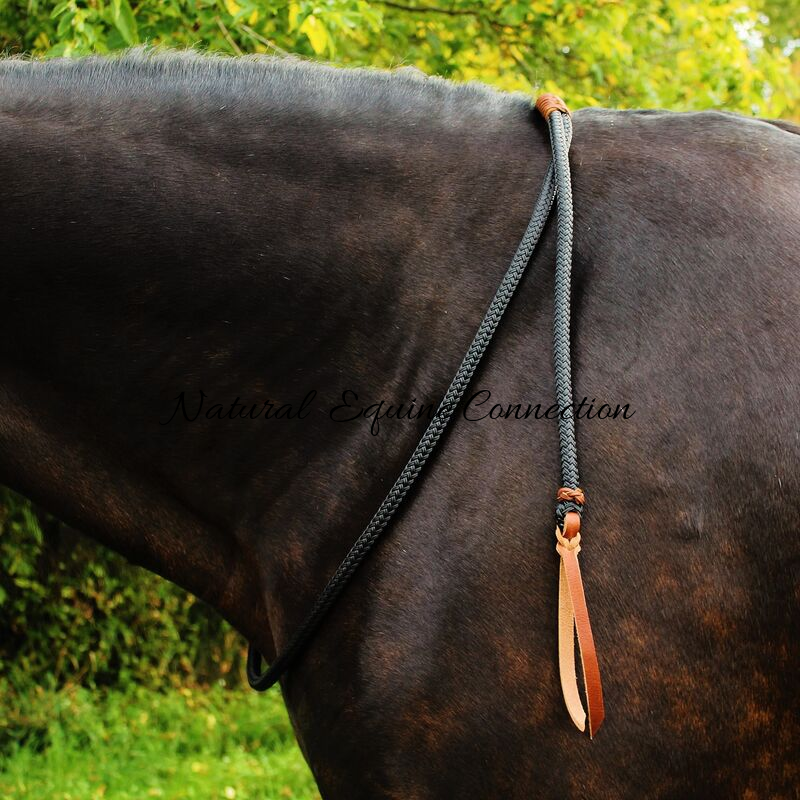 Natural Equine Connection | 594 Heddle Crescent, Newmarket, ON L3X 2J5, Canada | Phone: (416) 435-6651