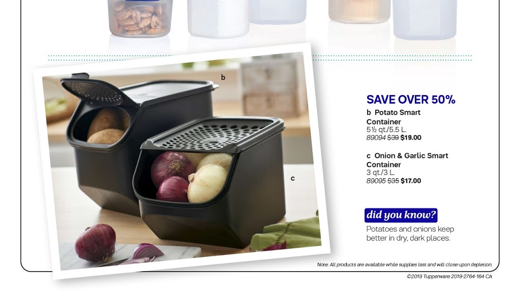 Vinson Tupperware | 164 Gray Crescent, Kanata, ON K2K 3L9, Canada | Phone: (613) 601-0099