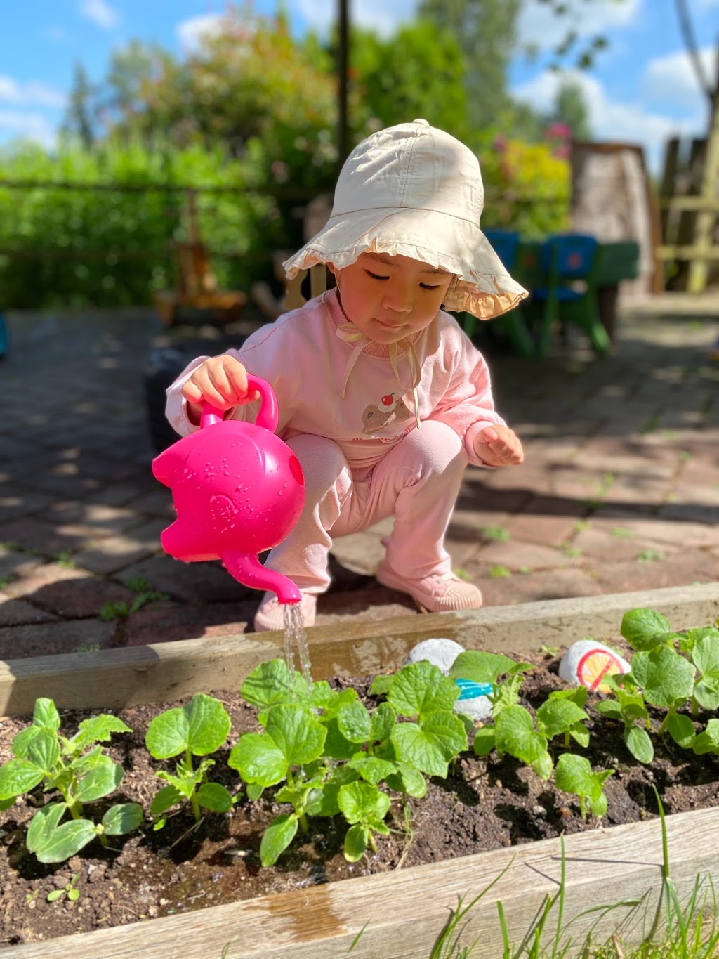 young of green gables early learning | 4662 208b St, Langley, BC V3A 7E6, Canada | Phone: (778) 366-8252