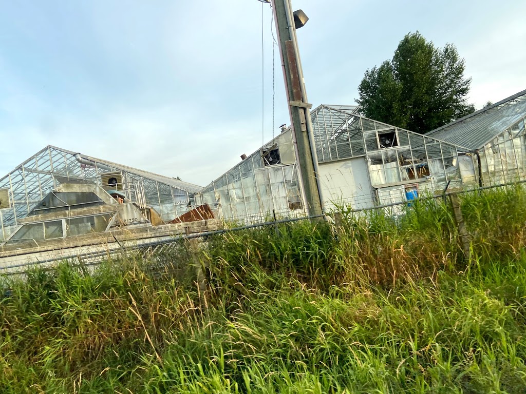 Country Squire Boarding Kennels | 24862 16 Ave, Aldergrove, BC V4W 2R6, Canada | Phone: (604) 856-7387