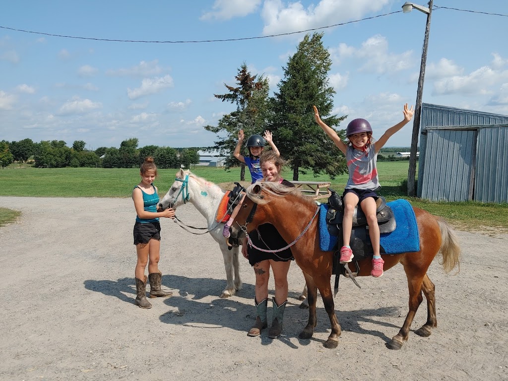 Ranch BoSoleil | 532 Rang Saint-Henri, Saint-Bernard, QC G0S 2G0, Canada | Phone: (418) 209-0865