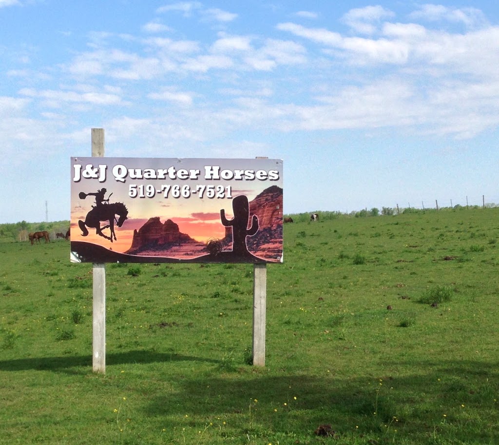 J&J Quarter Horse | 6924, Speedvale Ave, Guelph, ON N1H 6J4, Canada | Phone: (519) 766-7521