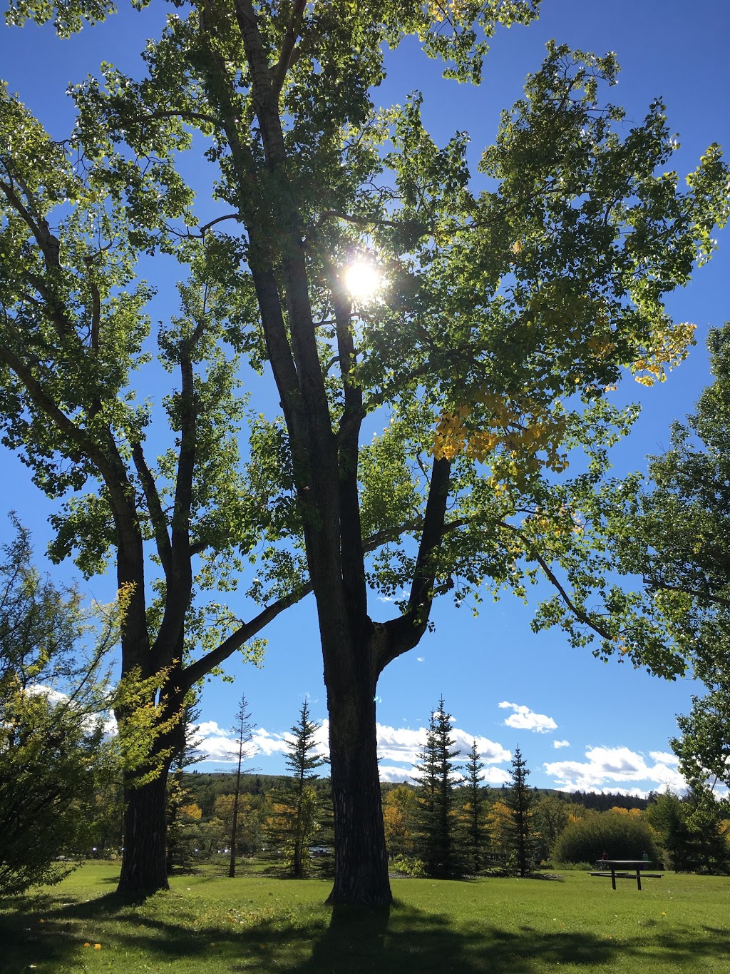 Bow River Park Vista Point | Varsity, Calgary, AB T3B 1C3, Canada