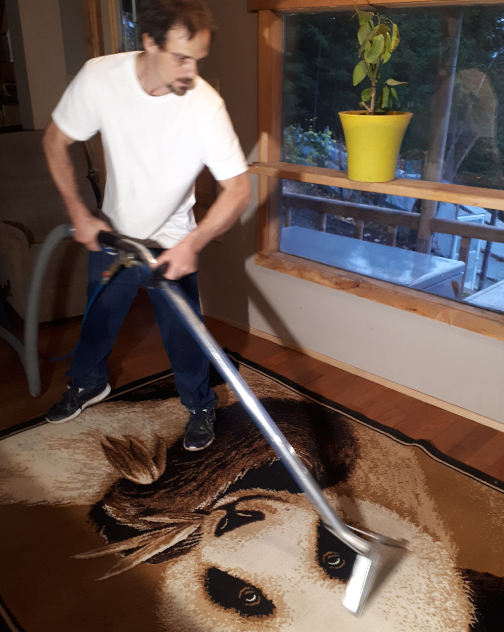 Anglemont Carpet Cleaning | 2943 Vickers Trail, Anglemont, BC V0E 1M8, Canada | Phone: (250) 517-8172