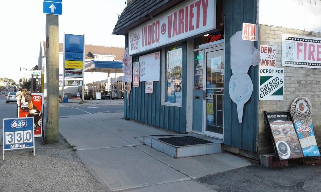 Bargain Mart Variety | 129 Birmingham St W, Mount Forest, ON N0G 2L1, Canada | Phone: (519) 323-4311