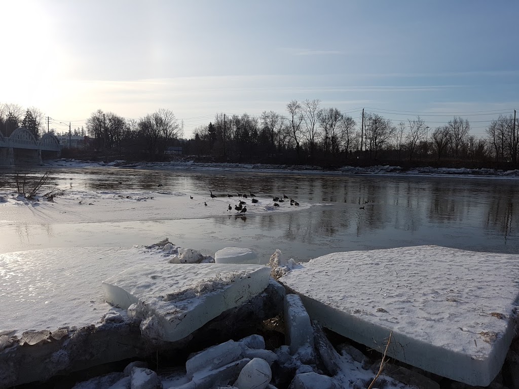 Schneider Park Parking Lot | 3623 King St E, Kitchener, ON N2A, Canada