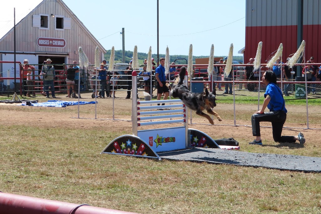 Expo Kent | 2341 Rte 515, Sainte-Marie-de-Kent, NB E4S 2B7, Canada | Phone: (506) 743-8108